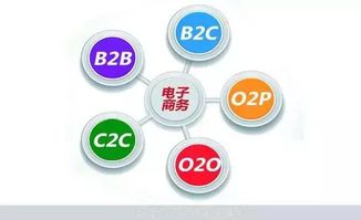 福建省誠(chéng)毅技術(shù)學(xué)校 您的信息電子技術(shù)服務(wù)專業(yè)之選